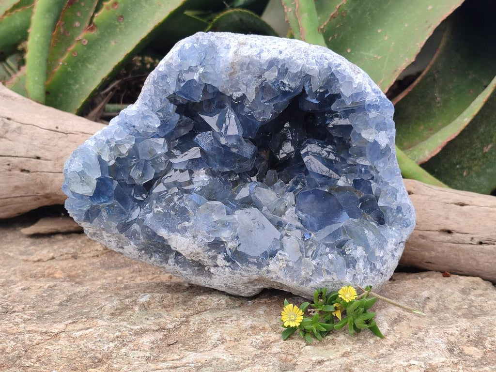 Natural Large Blue Celestite Geode Specimen x 1 From Sakoany, Madagascar