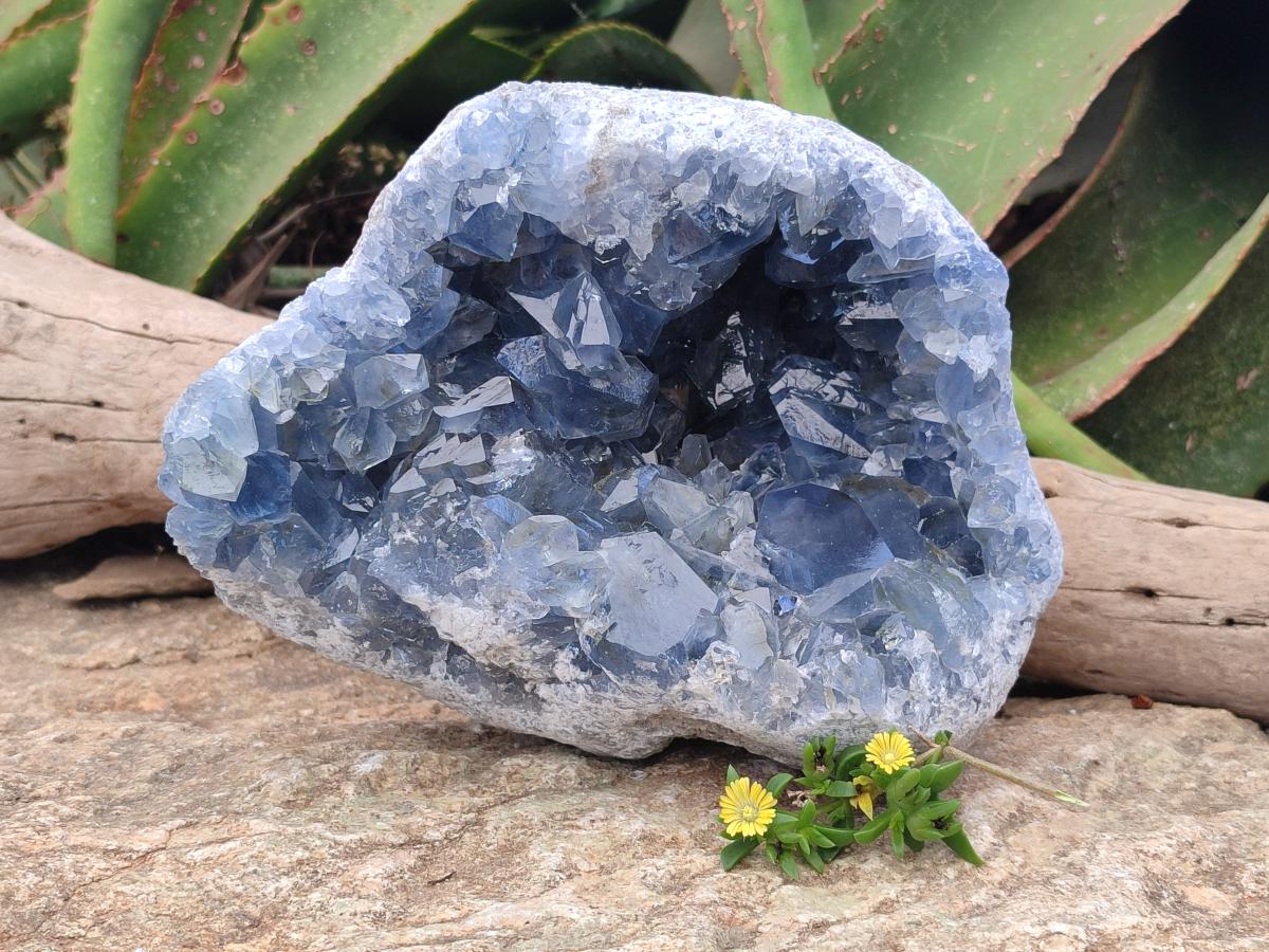 Natural Large Blue Celestite Geode Specimen x 1 From Sakoany, Madagascar