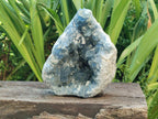 Natural Large Blue Celestite Geode Specimen x 1 From Sakoany, Madagascar