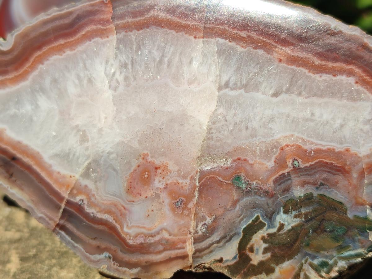 Polished One Side Red Shashe River Agate Nodules x 3 From Shashe River, Zimbabwe