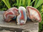Polished One Side Red Shashe River Agate Nodules x 3 From Shashe River, Zimbabwe