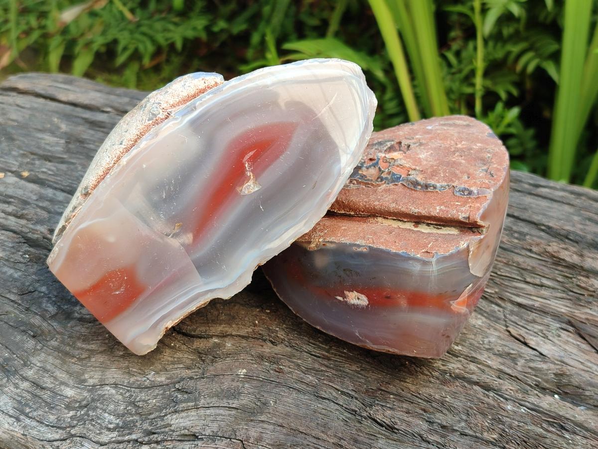 Polished One Side Red Shashe River Agate Nodules x 3 From Shashe River, Zimbabwe