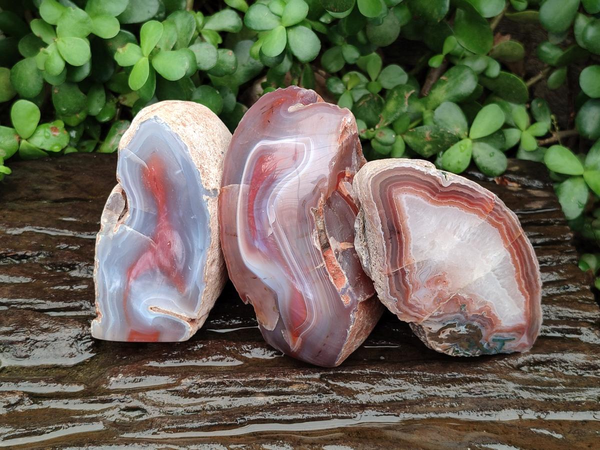 Polished One Side Red Shashe River Agate Nodules x 3 From Shashe River, Zimbabwe