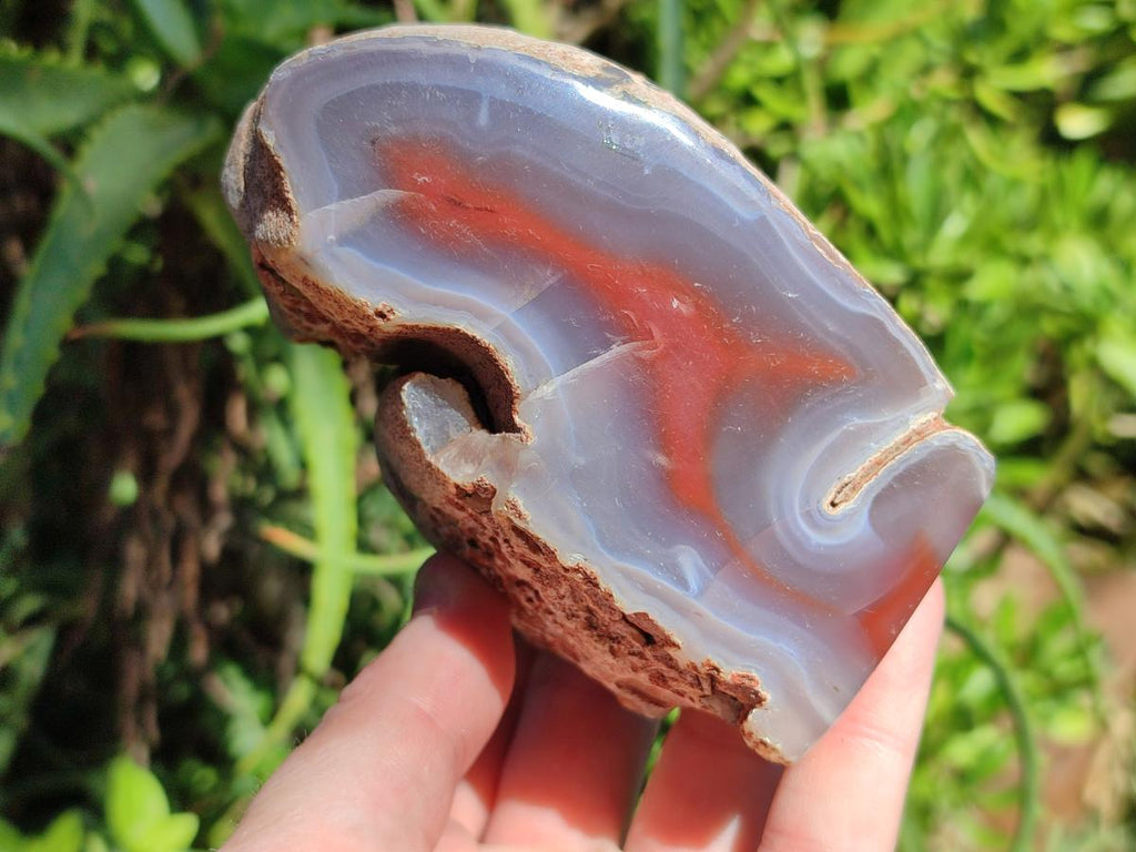 Polished One Side Red Shashe River Agate Nodules x 3 From Shashe River, Zimbabwe
