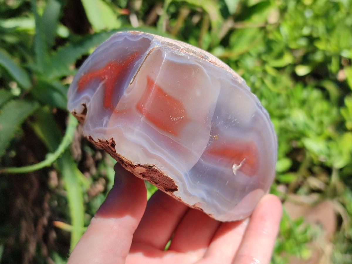 Polished One Side Red Shashe River Agate Nodules x 3 From Shashe River, Zimbabwe