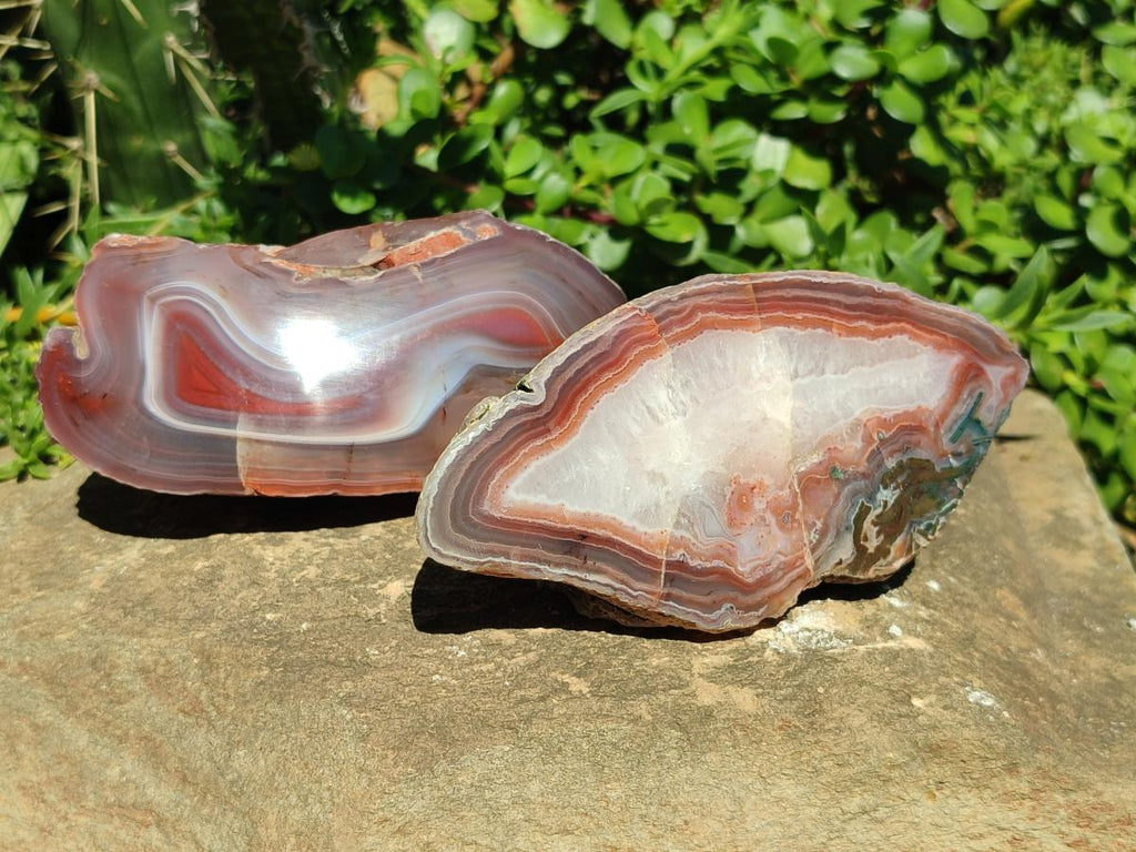 Polished One Side Red Shashe River Agate Nodules x 3 From Shashe River, Zimbabwe
