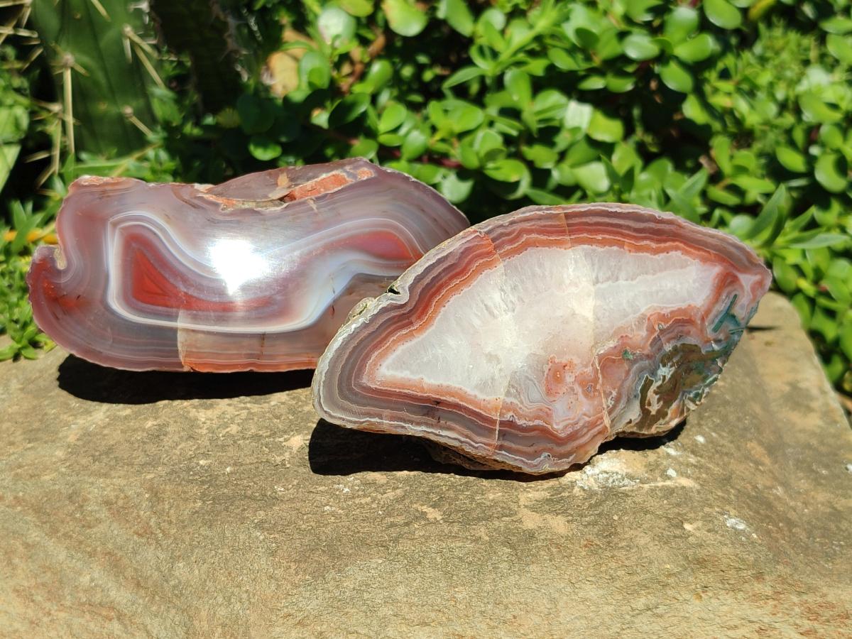 Polished One Side Red Shashe River Agate Nodules x 3 From Shashe River, Zimbabwe