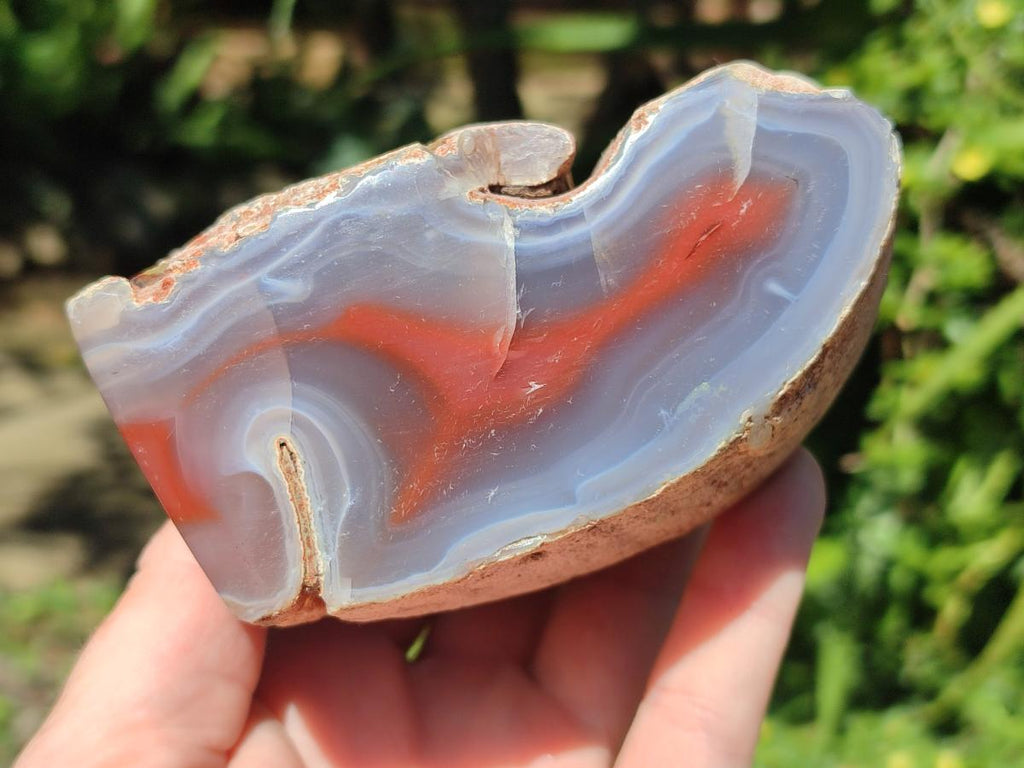 Polished One Side Red Shashe River Agate Nodules x 3 From Shashe River, Zimbabwe