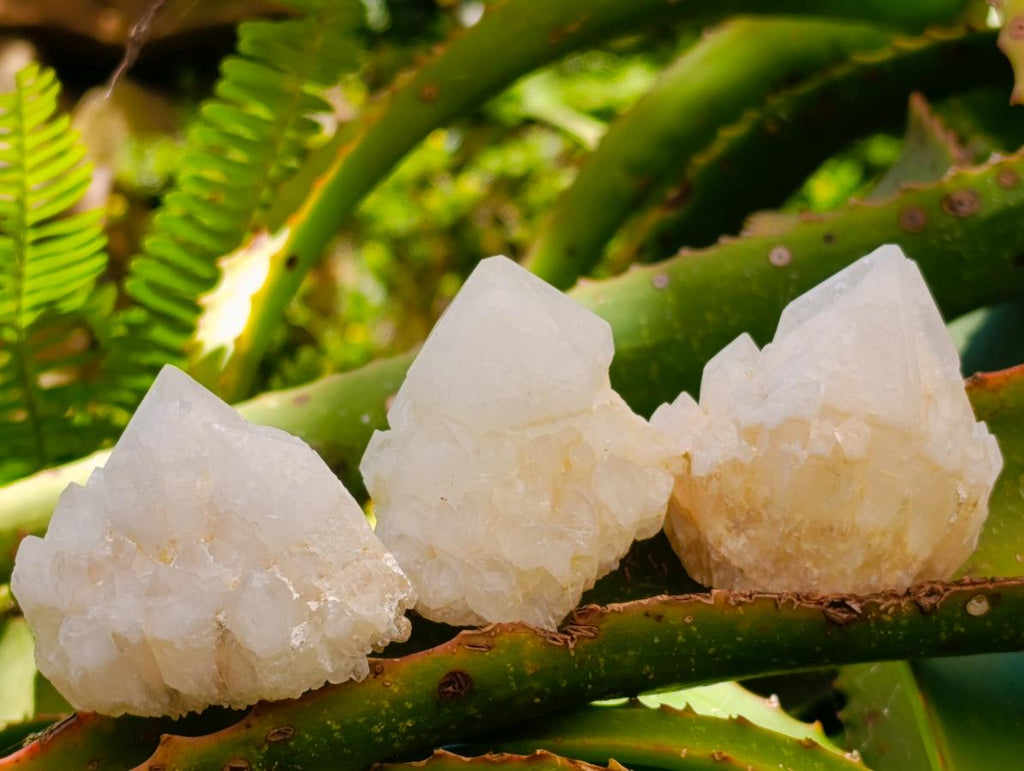 Natural "Love Star" Cascading Candle Quartz Crystals x 24 From Antsirabe, Madagascar