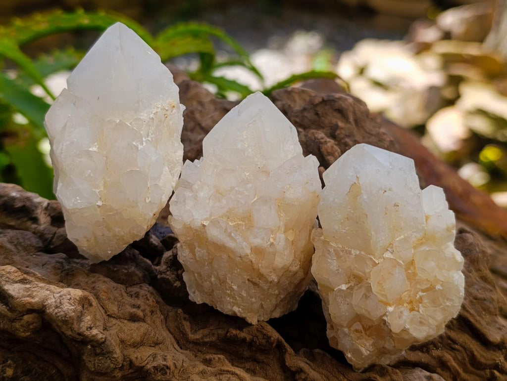 Natural "Love Star" Cascading Candle Quartz Crystals x 24 From Antsirabe, Madagascar