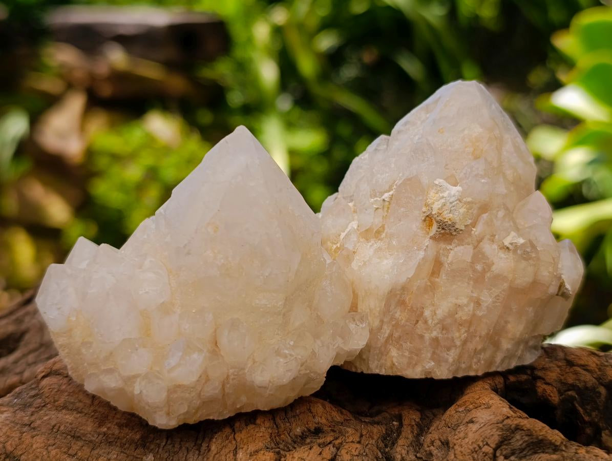 Natural "Love Star" Cascading Candle Quartz Crystals x 24 From Antsirabe, Madagascar