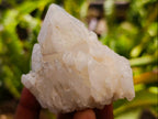 Natural "Love Star" Cascading Candle Quartz Crystals x 24 From Antsirabe, Madagascar