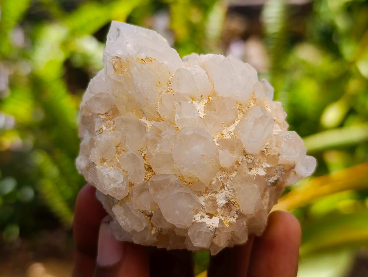 Natural "Love Star" Cascading Candle Quartz Crystals x 24 From Antsirabe, Madagascar