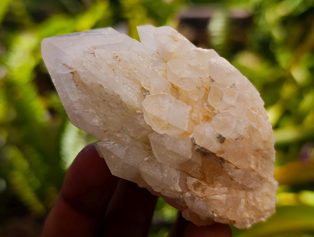 Natural "Love Star" Cascading Candle Quartz Crystals x 24 From Antsirabe, Madagascar