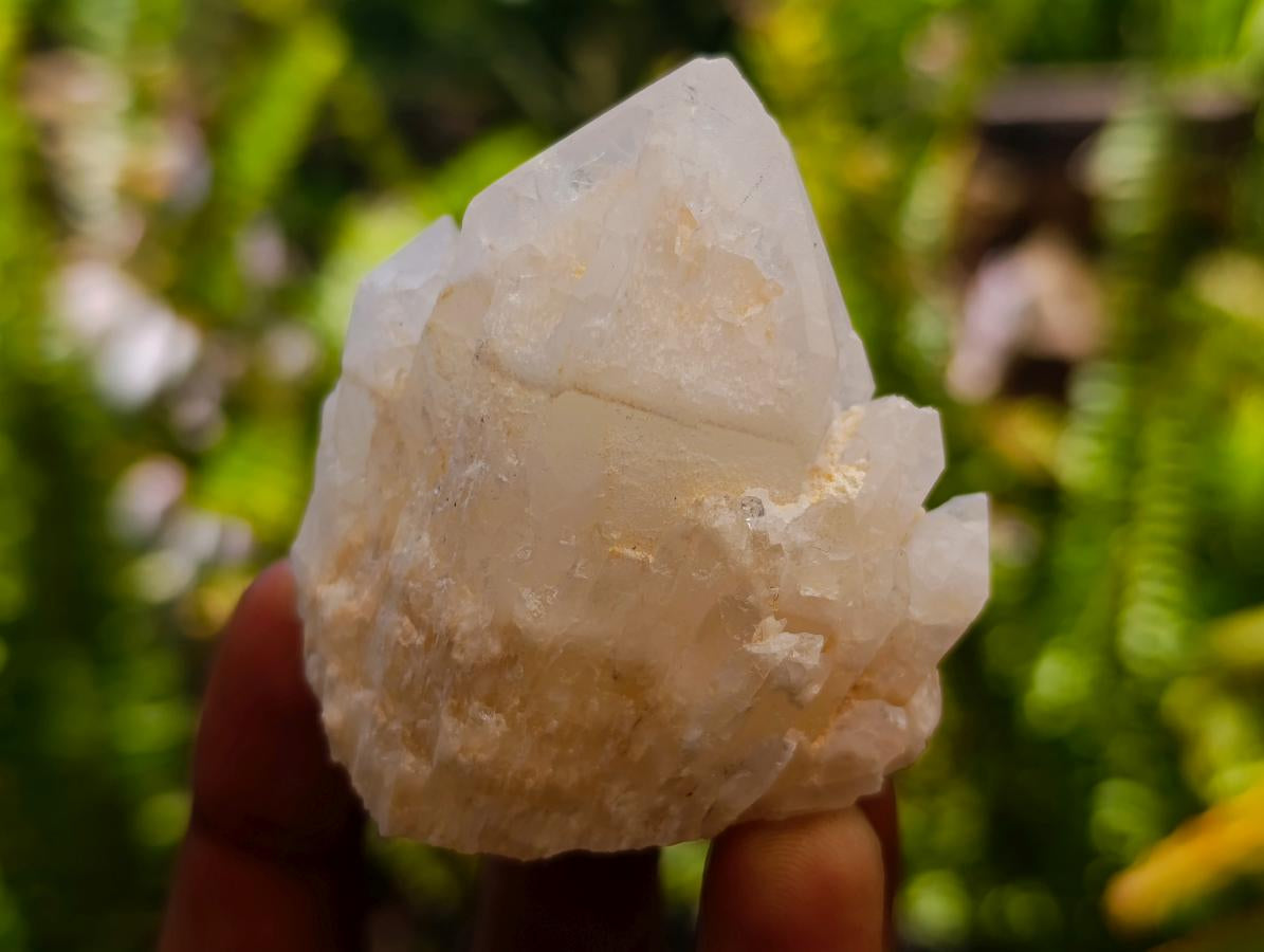 Natural "Love Star" Cascading Candle Quartz Crystals x 24 From Antsirabe, Madagascar