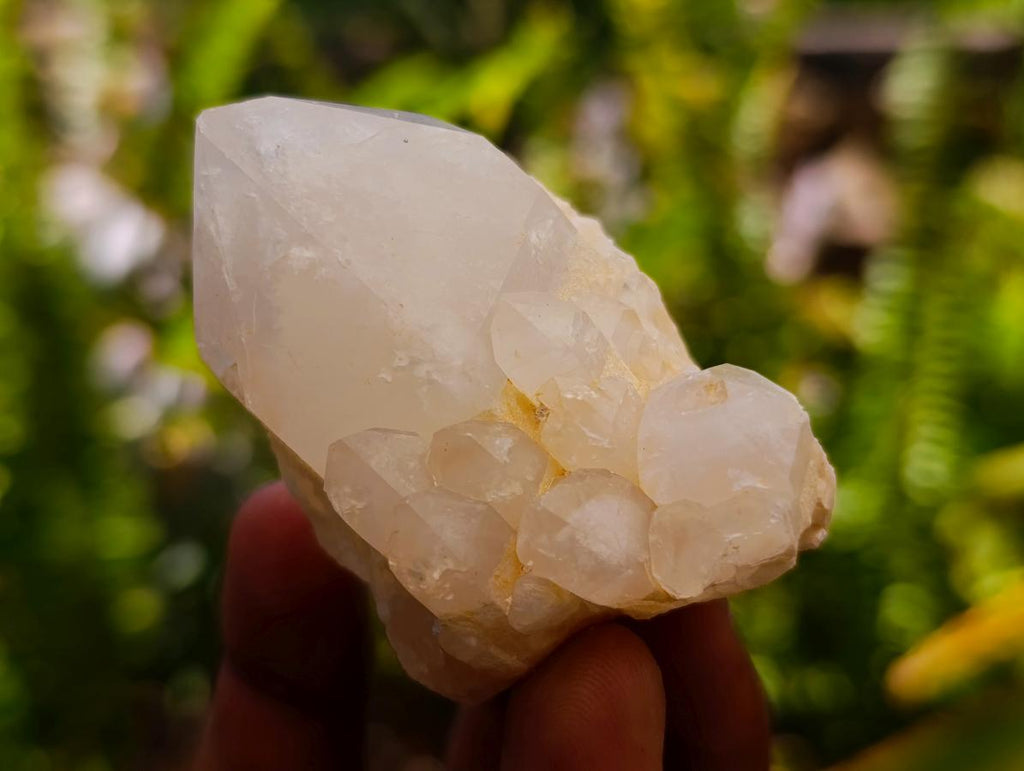 Natural "Love Star" Cascading Candle Quartz Crystals x 24 From Antsirabe, Madagascar