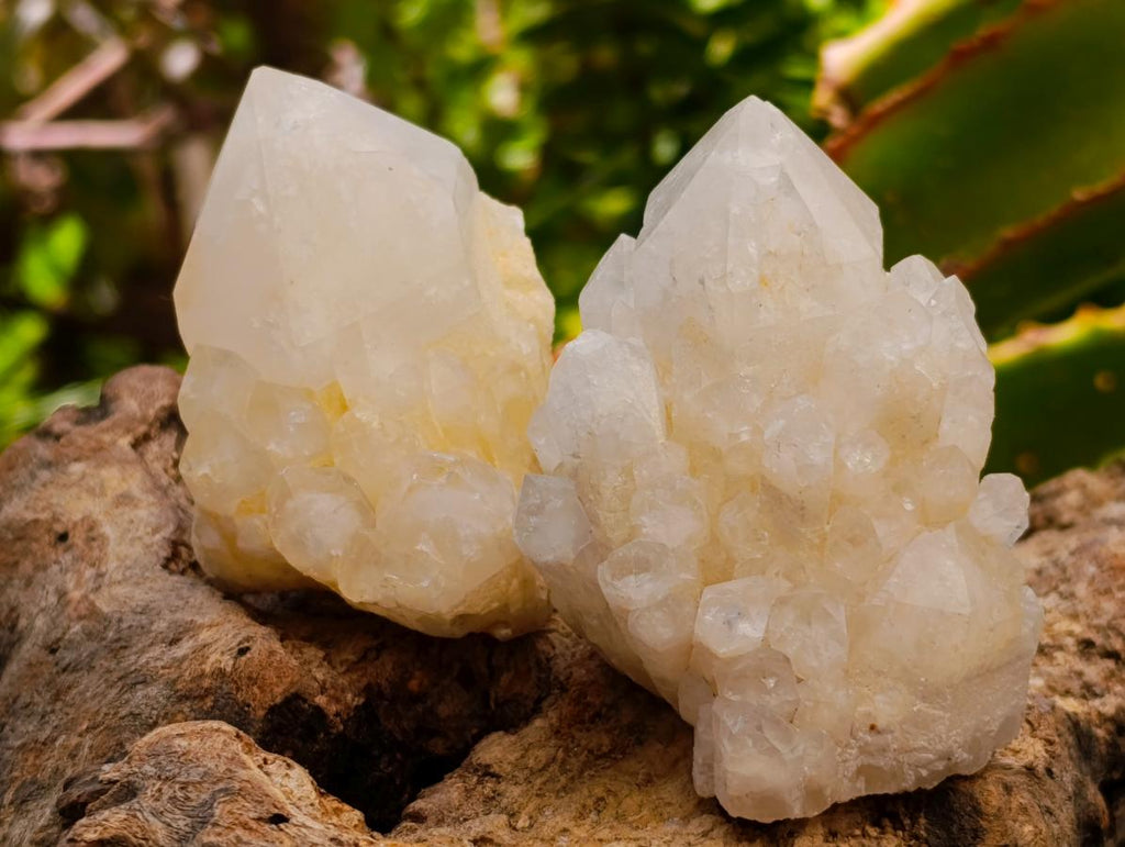 Natural "Love Star" Cascading Candle Quartz Crystals x 24 From Antsirabe, Madagascar