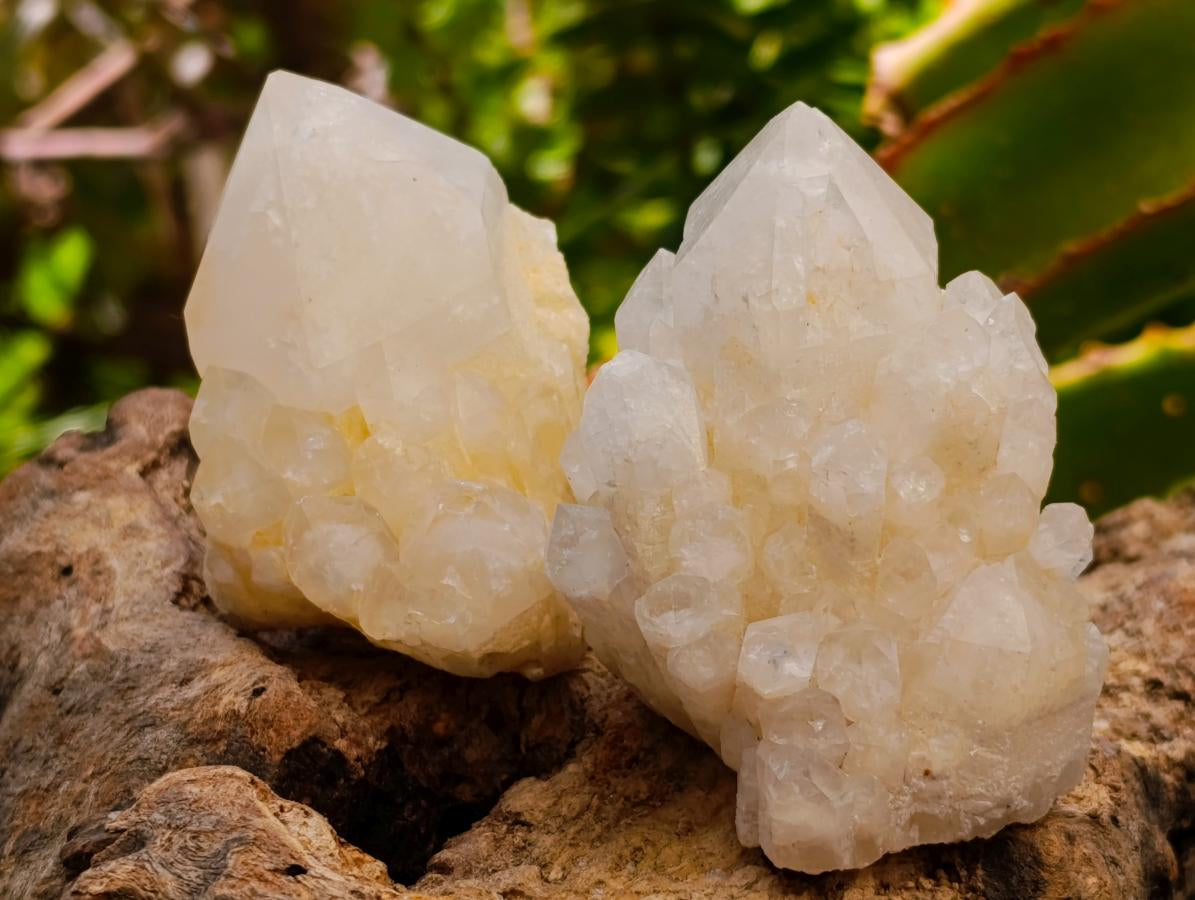 Natural "Love Star" Cascading Candle Quartz Crystals x 24 From Antsirabe, Madagascar