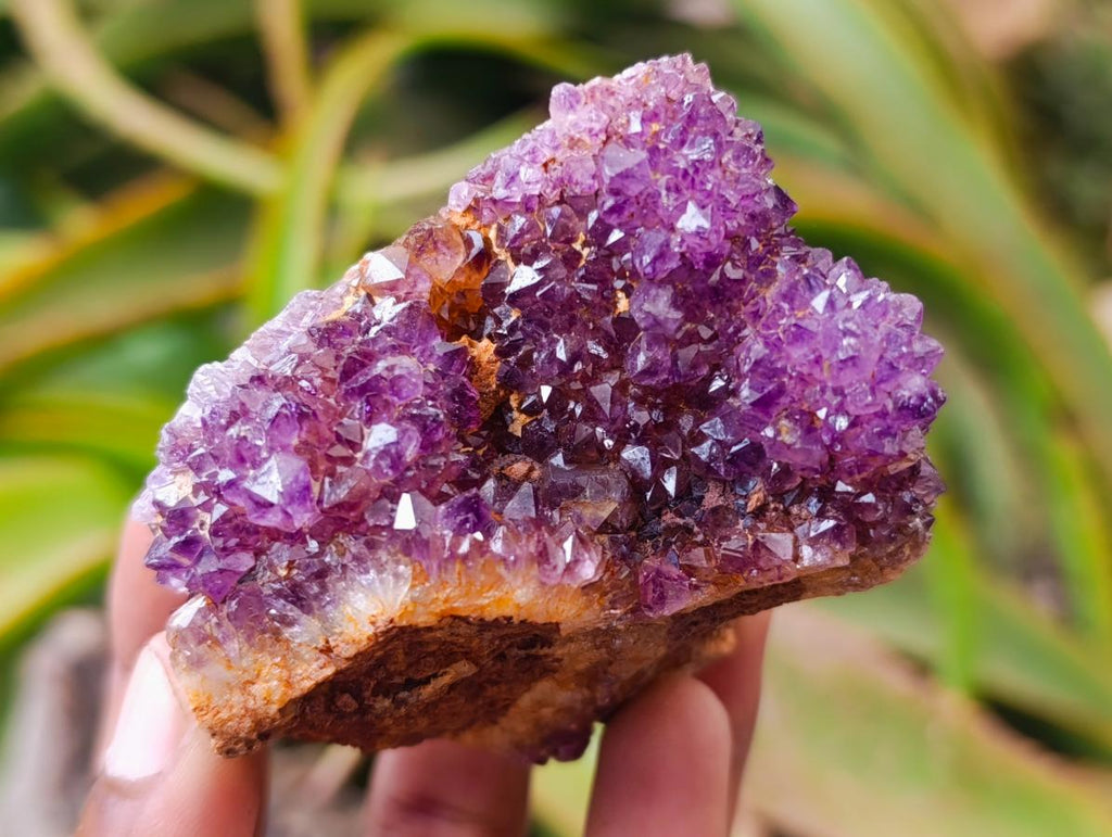 Natural Dark Spirit Quartz Cluster Plates x 12 From Boekenhouthoek, South Africa