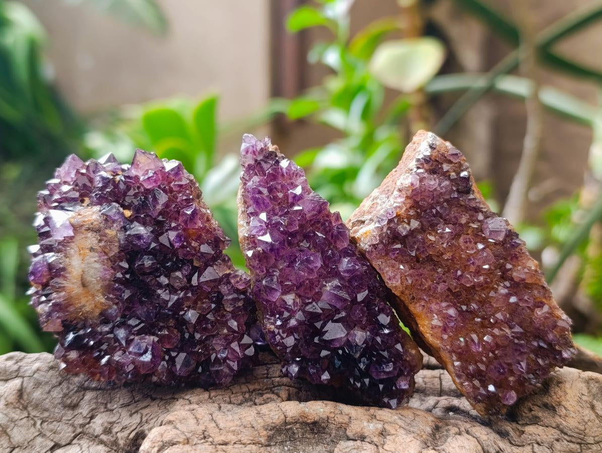 Natural Dark Spirit Quartz Cluster Plates x 12 From Boekenhouthoek, South Africa