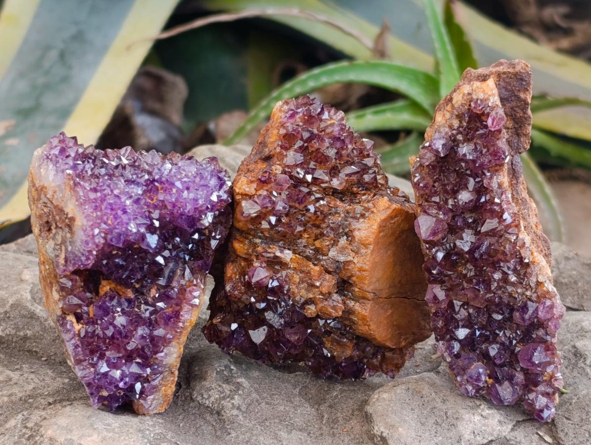 Natural Dark Spirit Quartz Cluster Plates x 12 From Boekenhouthoek, South Africa
