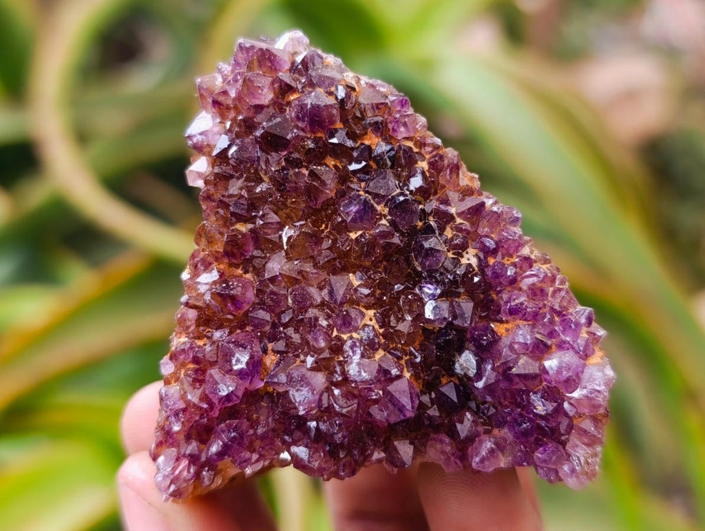 Natural Dark Spirit Quartz Cluster Plates x 12 From Boekenhouthoek, South Africa