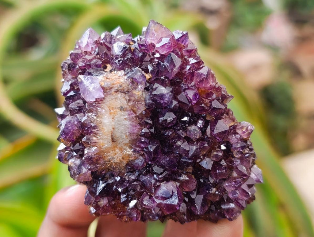 Natural Dark Spirit Quartz Cluster Plates x 12 From Boekenhouthoek, South Africa