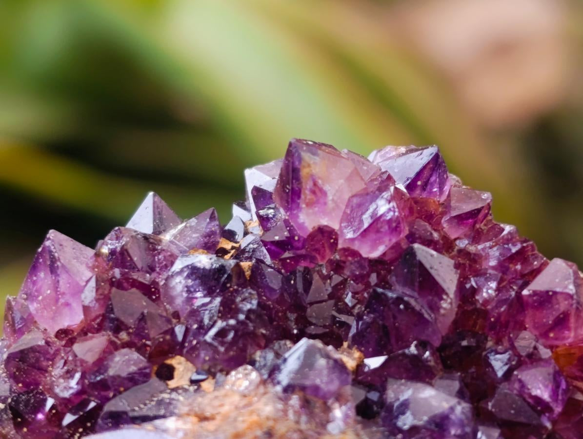 Natural Dark Spirit Quartz Cluster Plates x 12 From Boekenhouthoek, South Africa
