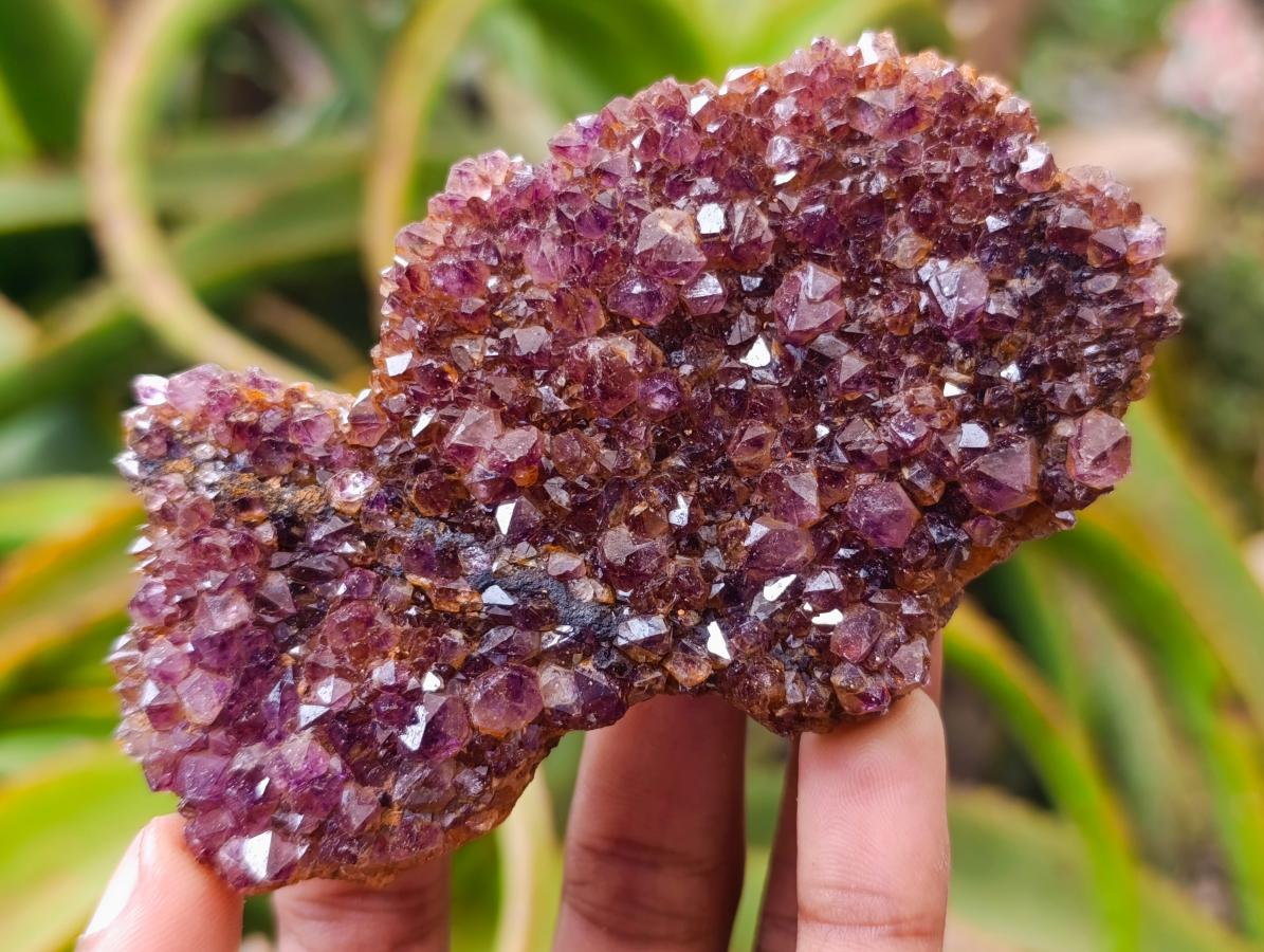 Natural Dark Spirit Quartz Cluster Plates x 12 From Boekenhouthoek, South Africa