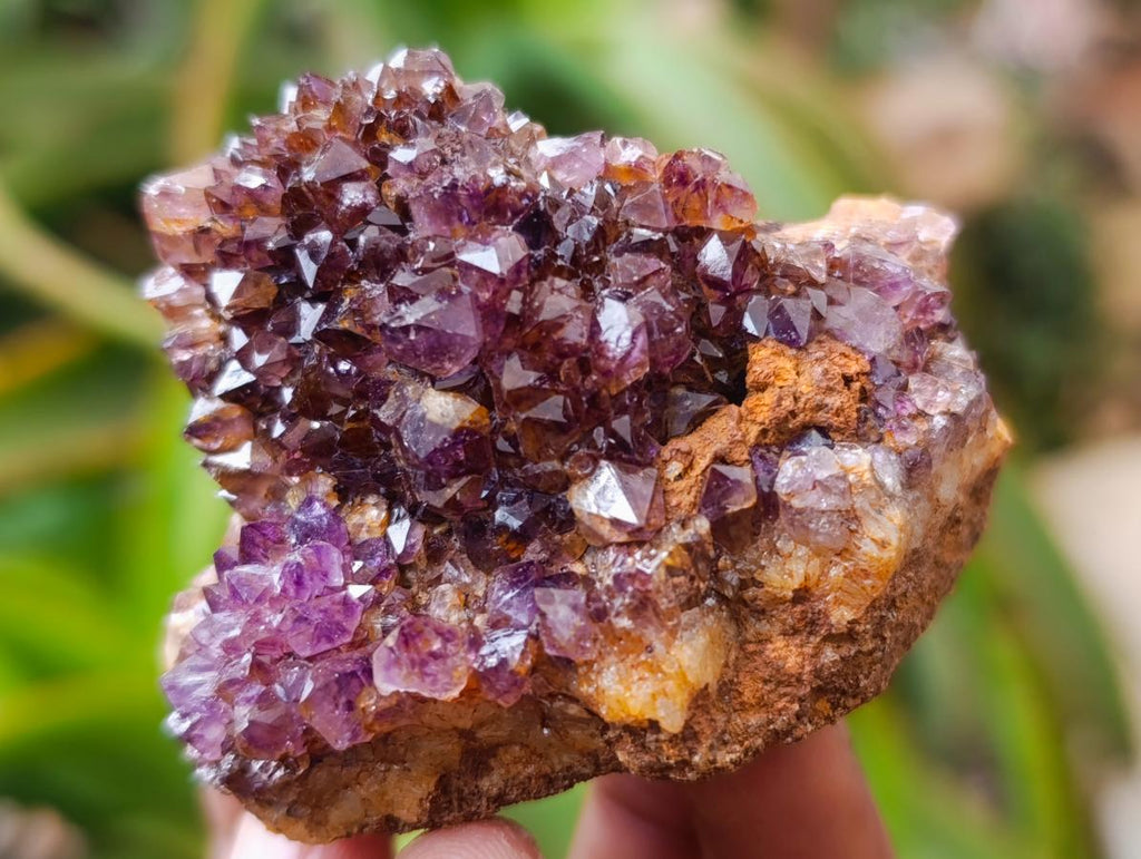 Natural Dark Spirit Quartz Cluster Plates x 12 From Boekenhouthoek, South Africa