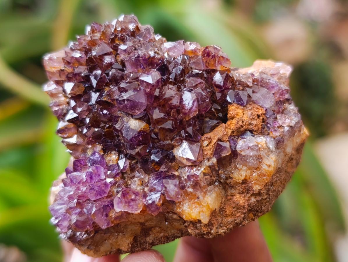 Natural Dark Spirit Quartz Cluster Plates x 12 From Boekenhouthoek, South Africa