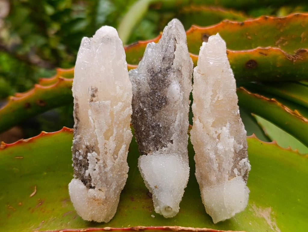 Natural Drusy Quartz Coated Spearhead Calcite Crystals x 24 From Albert's Mountain, Lesotho