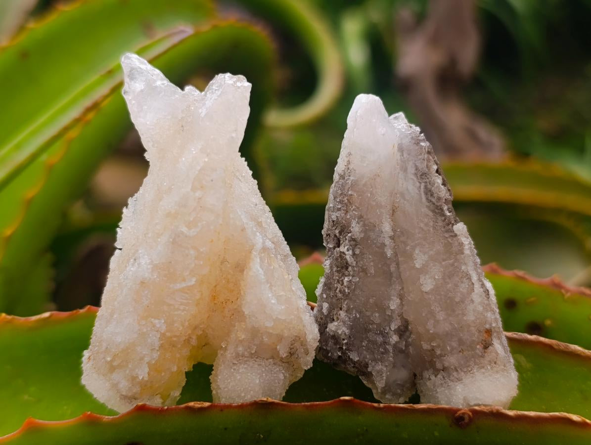 Natural Drusy Quartz Coated Spearhead Calcite Crystals x 24 From Albert's Mountain, Lesotho