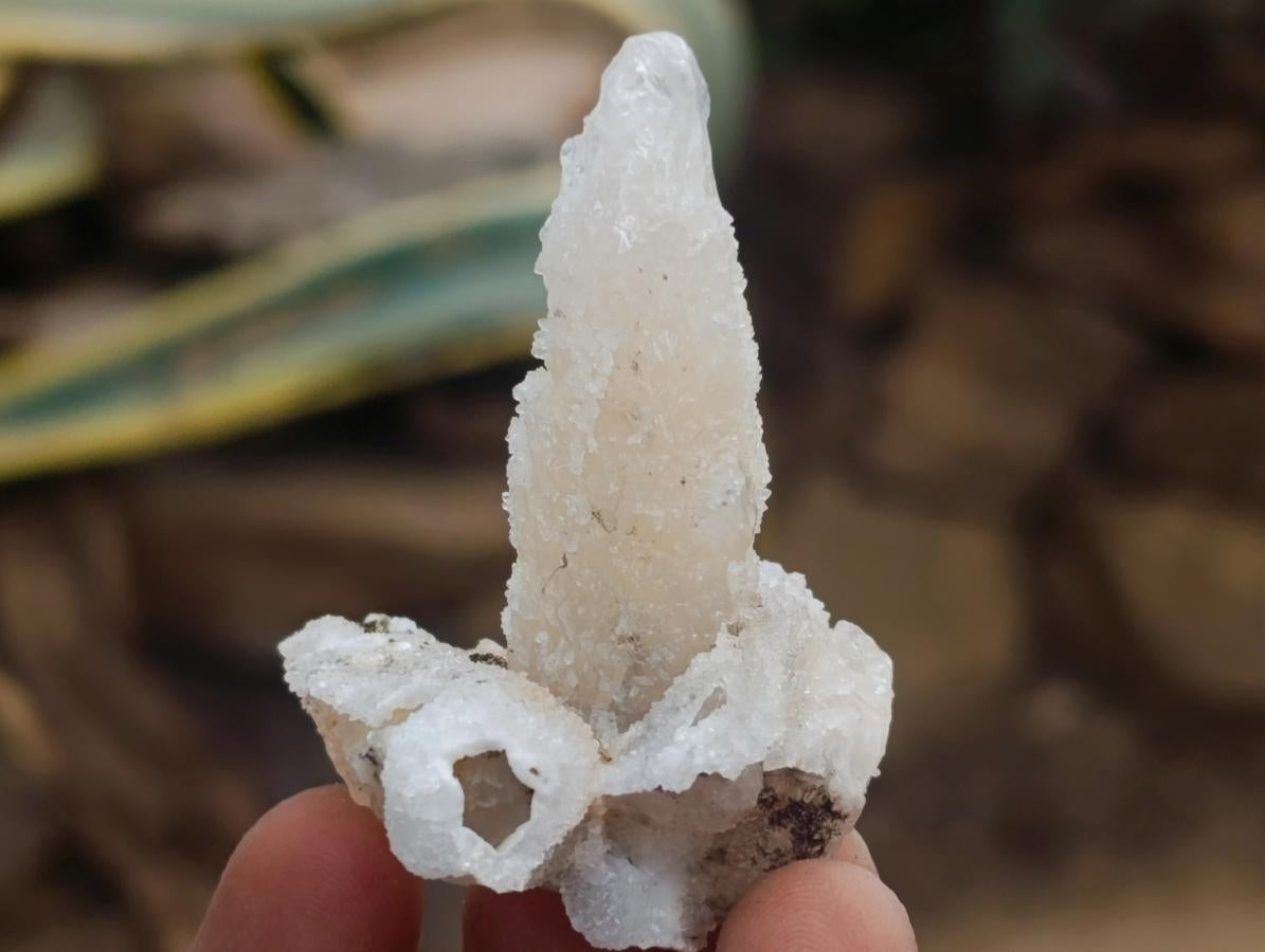 Natural Drusy Quartz Coated Spearhead Calcite Crystals x 24 From Albert's Mountain, Lesotho
