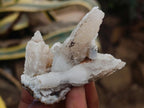 Natural Drusy Quartz Coated Spearhead Calcite Crystals x 24 From Albert's Mountain, Lesotho