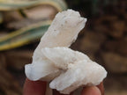 Natural Drusy Quartz Coated Spearhead Calcite Crystals x 24 From Albert's Mountain, Lesotho