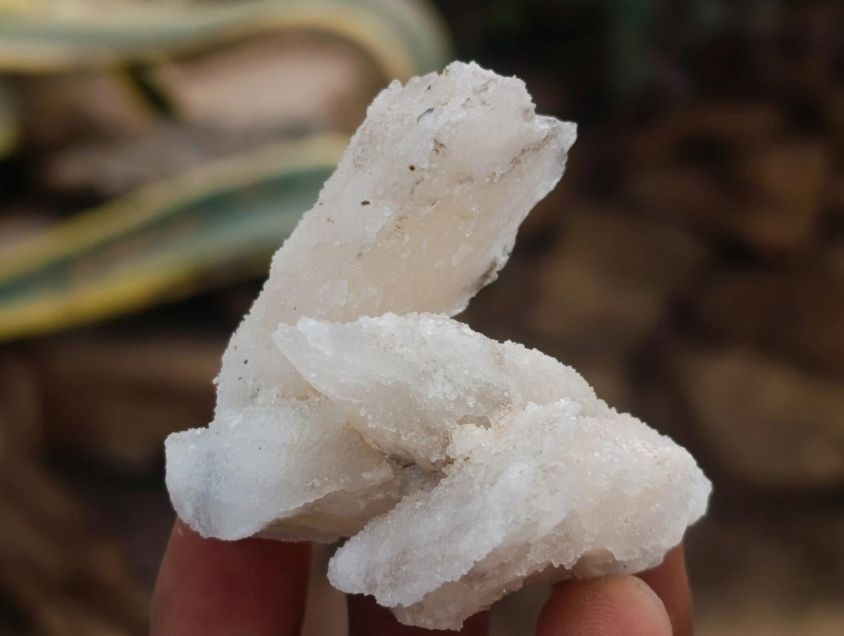 Natural Drusy Quartz Coated Spearhead Calcite Crystals x 24 From Albert's Mountain, Lesotho