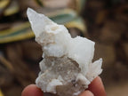 Natural Drusy Quartz Coated Spearhead Calcite Crystals x 24 From Albert's Mountain, Lesotho
