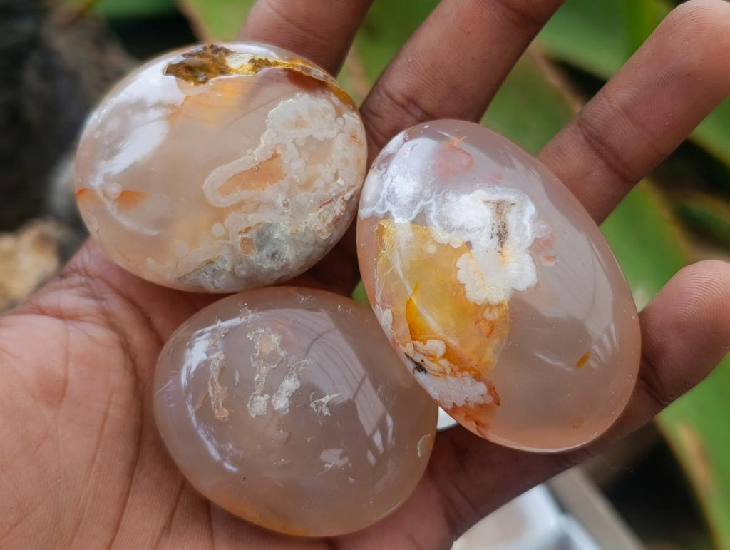 Polished Flower Agate Palm Stones x 20 From Antsahalova, Madagascar