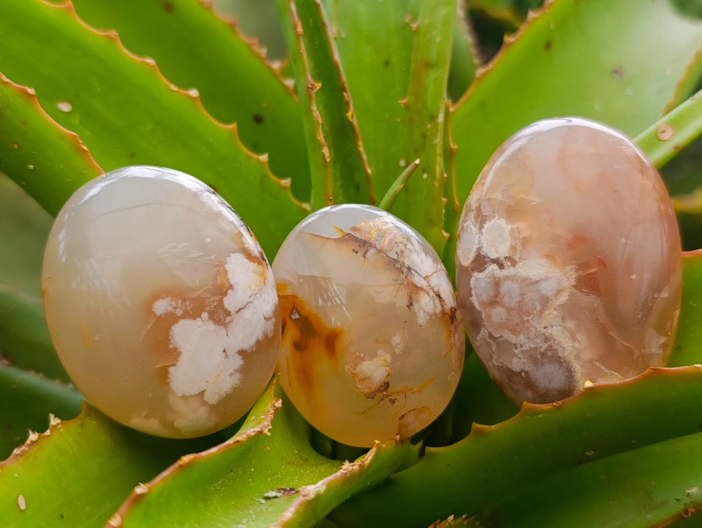 Polished Flower Agate Palm Stones x 20 From Antsahalova, Madagascar