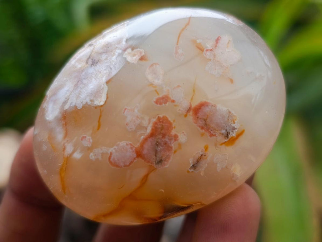 Polished Flower Agate Palm Stones x 20 From Antsahalova, Madagascar