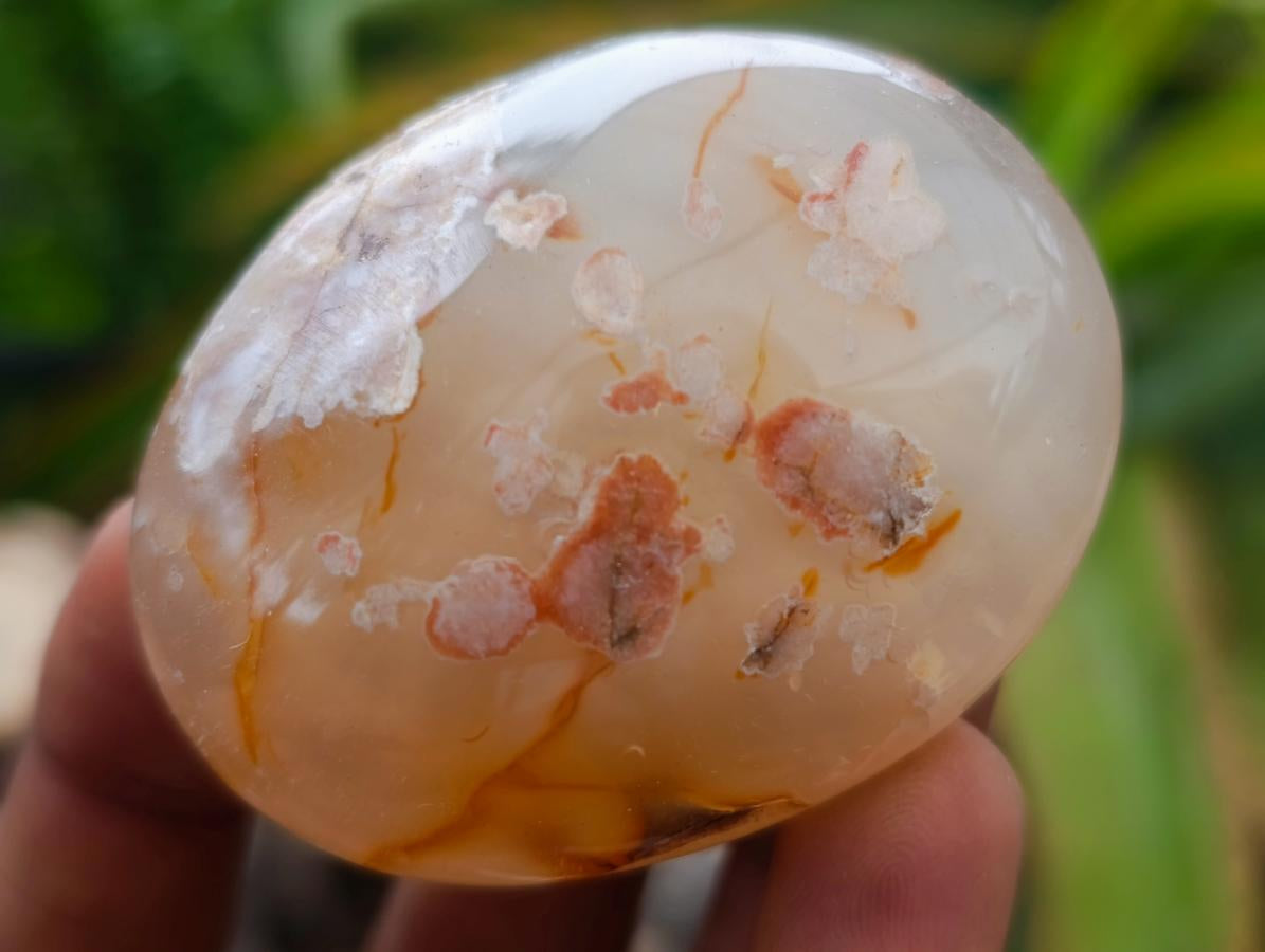 Polished Flower Agate Palm Stones x 20 From Antsahalova, Madagascar