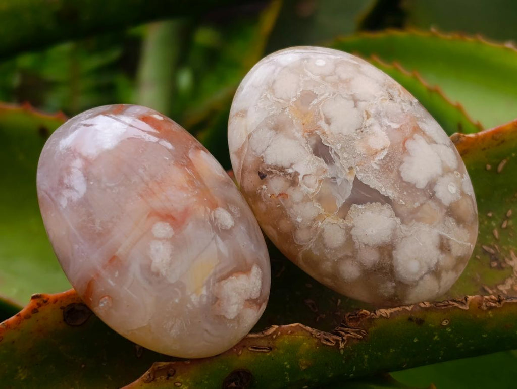 Polished Flower Agate Palm Stones x 20 From Antsahalova, Madagascar