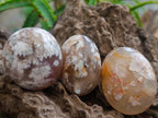 Polished Flower Agate Palm Stones x 20 From Antsahalova, Madagascar