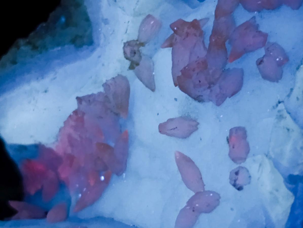 Natural Blue Lace Agate Geode Specimens x 4 From Nsanje, Malawi