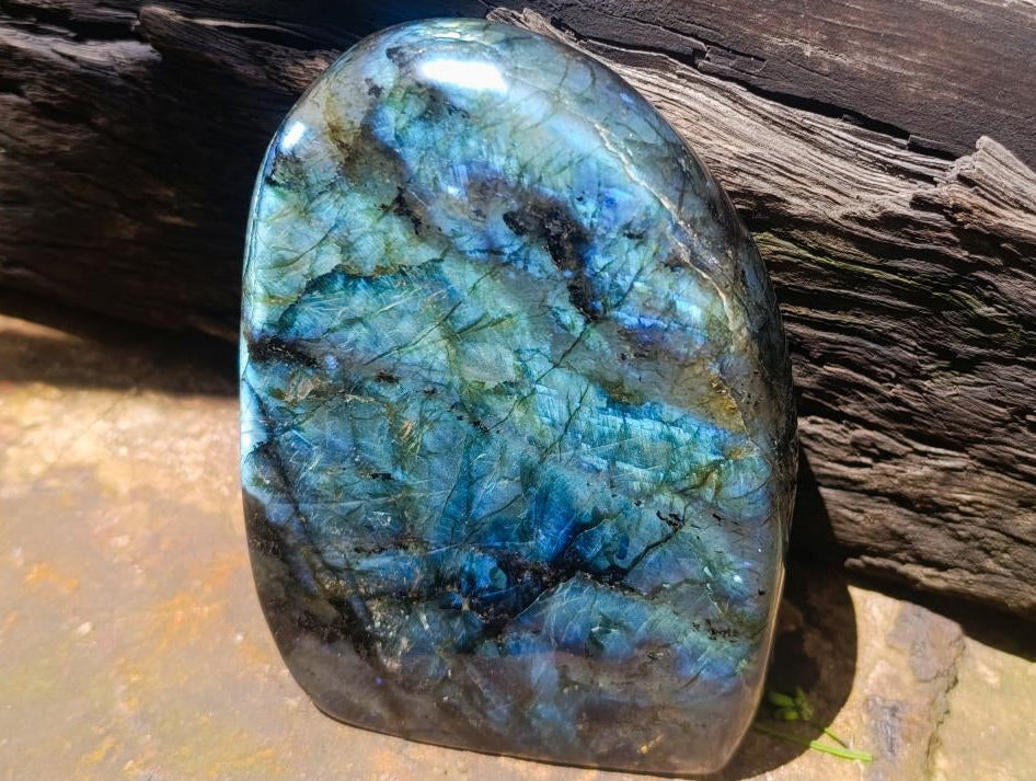 Polished Labradorite Standing Free Forms x 2 From Madagascar