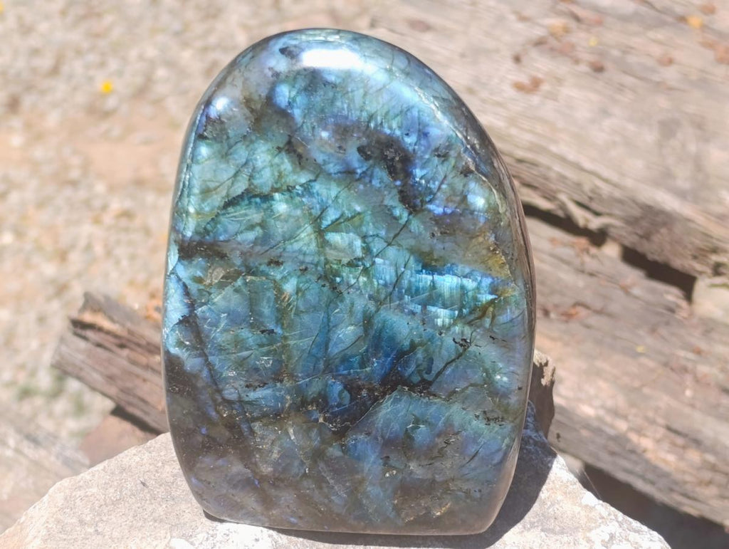 Polished Labradorite Standing Free Forms x 2 From Madagascar