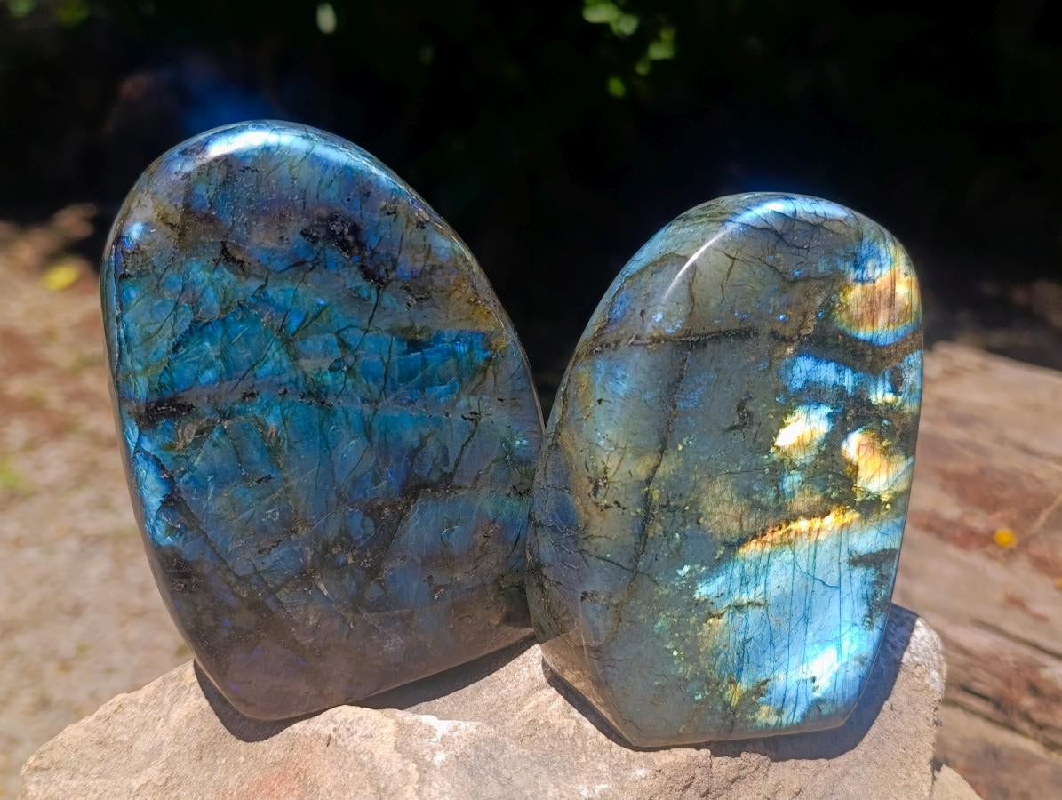 Polished Labradorite Standing Free Forms x 2 From Madagascar