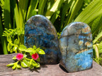 Polished Labradorite Standing Free Forms x 2 From Madagascar
