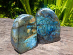Polished Labradorite Standing Free Forms x 2 From Madagascar